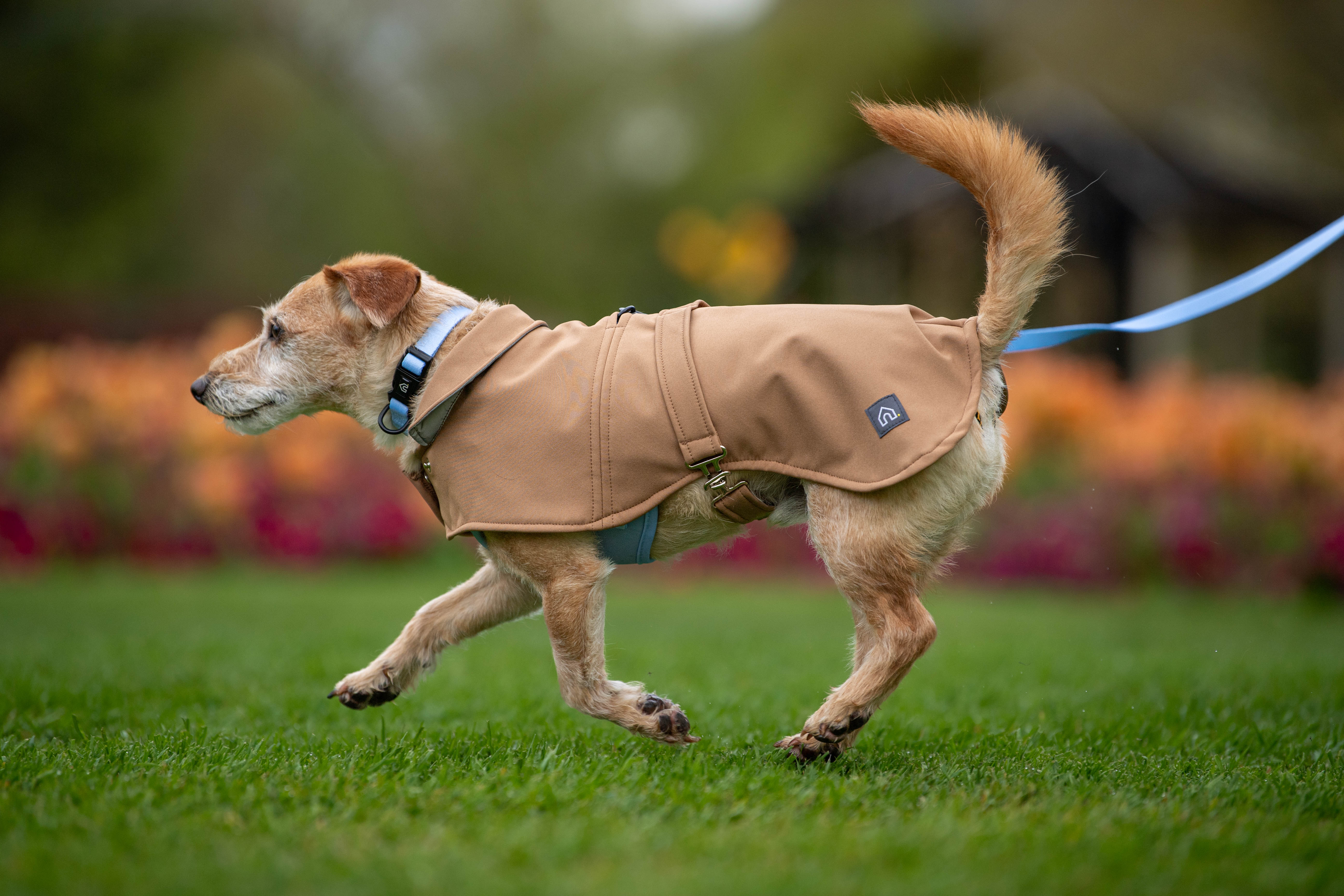 Doghouse Waterproof Coat for Dogs Doghouse Dog Coats