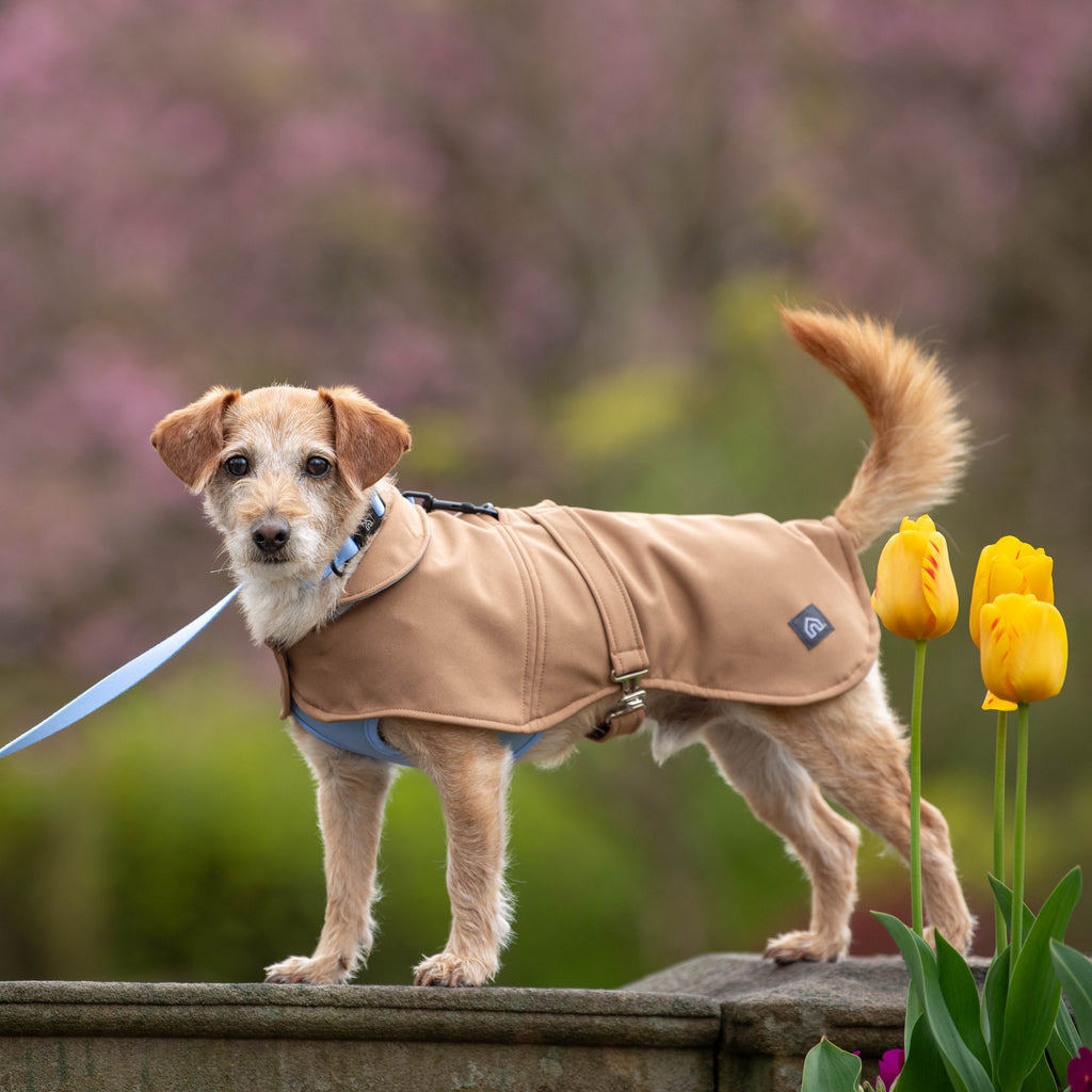 Doghouse Waterproof Coat for Dogs | Doghouse | Dog Coats | Handmade in ...