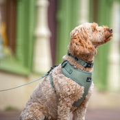Doghouse Everyday Comfort Harness in Olive Green - DOGHOUSE