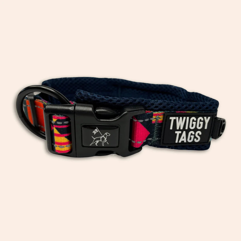 Twiggy Tags Adventure Collar in Aurora