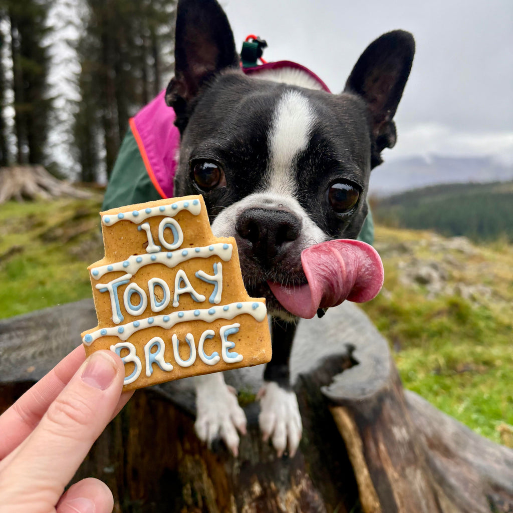 Personalised Dog Birthday Biscuit
