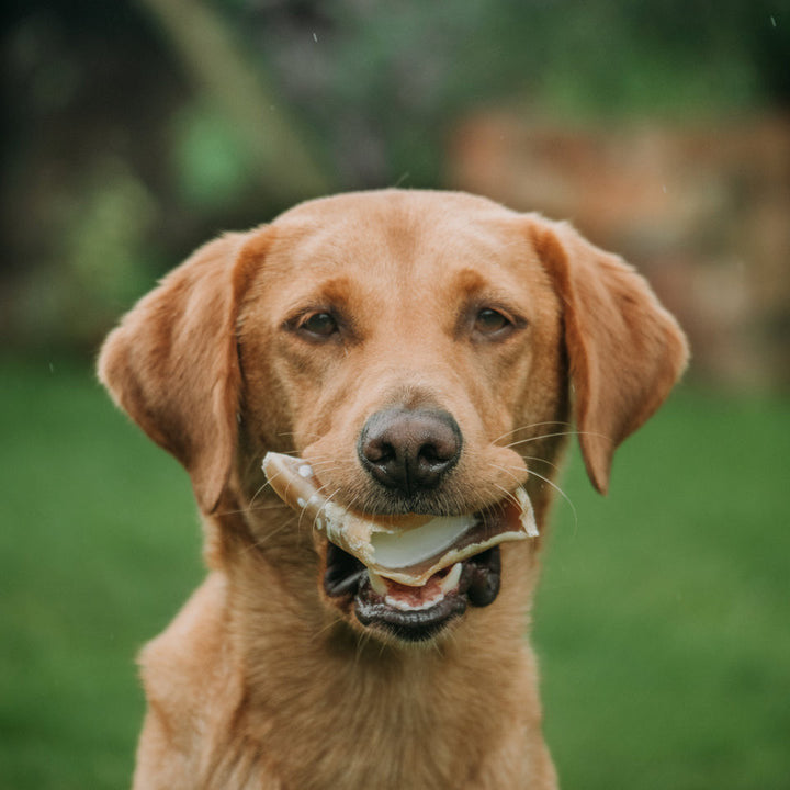 Anco