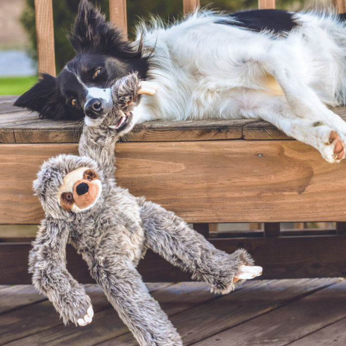 sloth dog toy