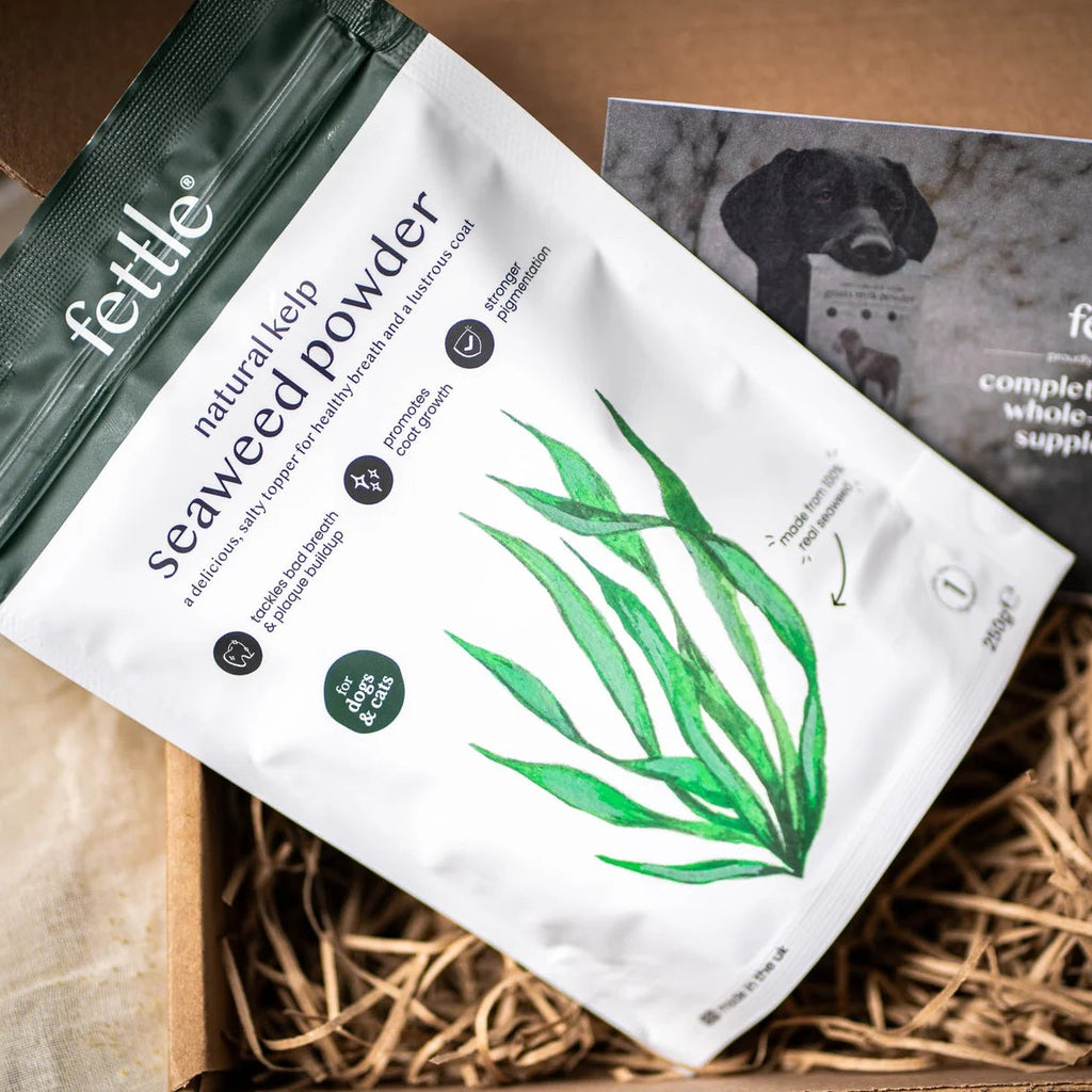 Fettle Scottish Kelp Seaweed Powder for Dogs