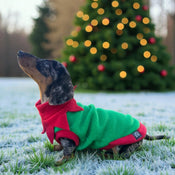 Dachshund Santa and Elf Fleece Jumpers - DOGHOUSE