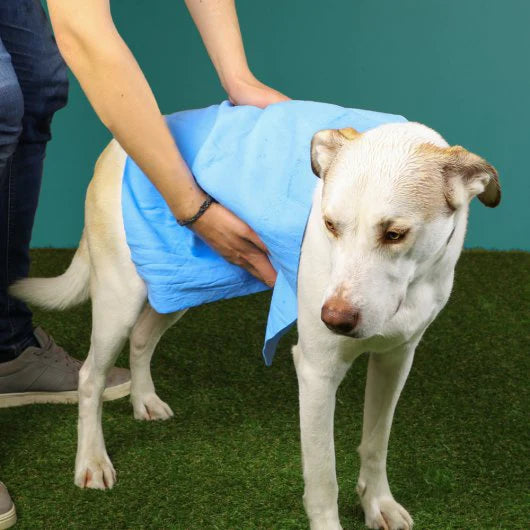 Just Chillin' Cooling Towel for Dogs