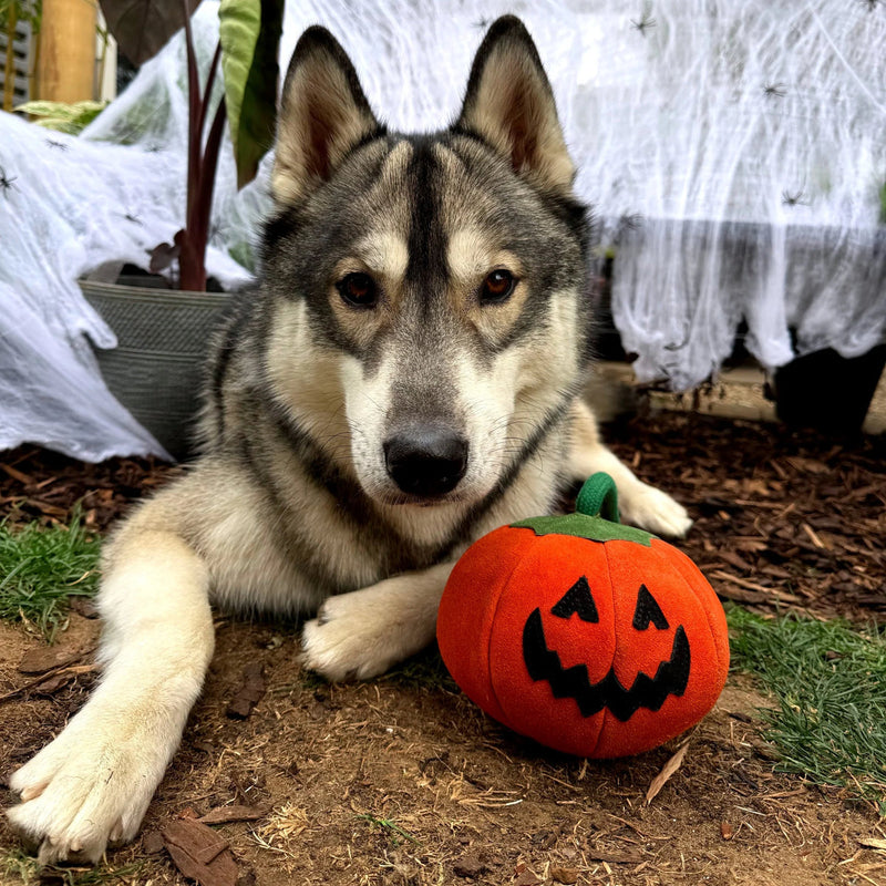 Happy Howl-o-ween