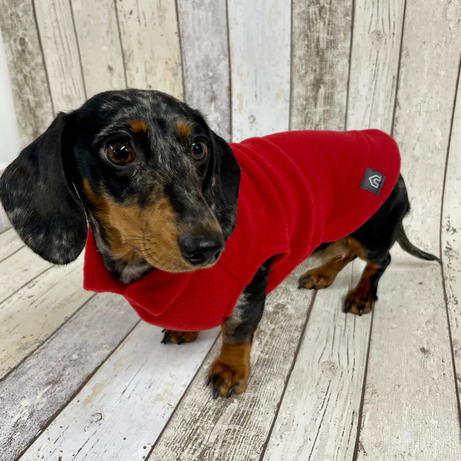 Fleece for dachshund clearance