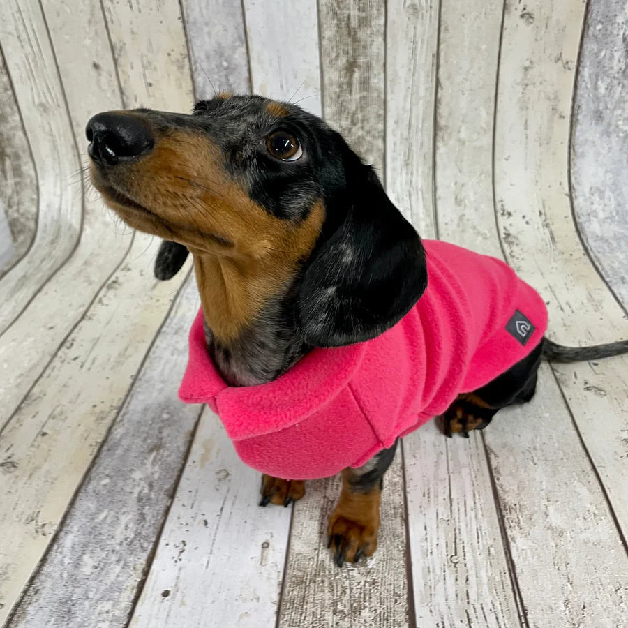 Dachshund Fleece Jumper Doghouse Dog Jumpers DOGHOUSE
