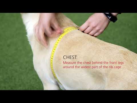 RUKKA Size Guide Video