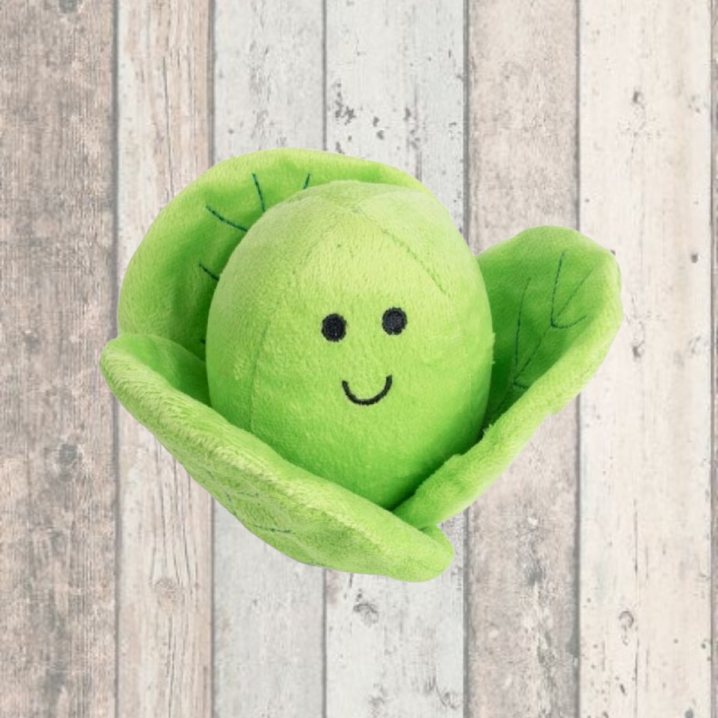 Foodie Faces Fluffy Sprout Dog Toy