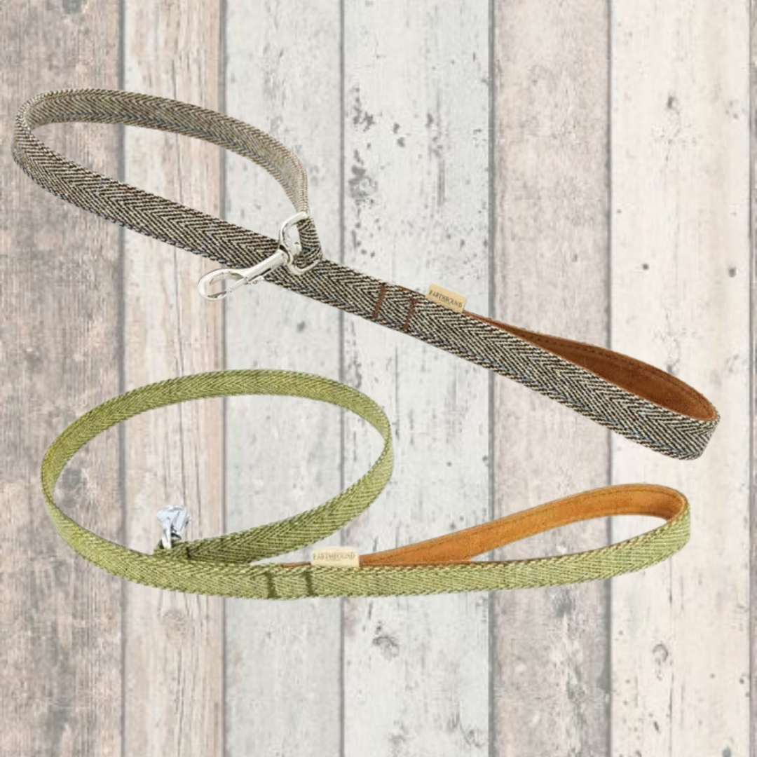 Earthbound clearance dog collar