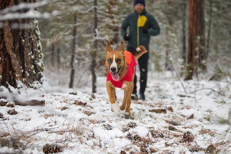 Ruffwear Vert™ Winter Dog Jacket - DOGHOUSE