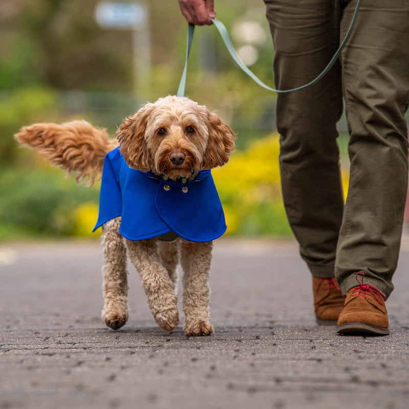 Rainy walks