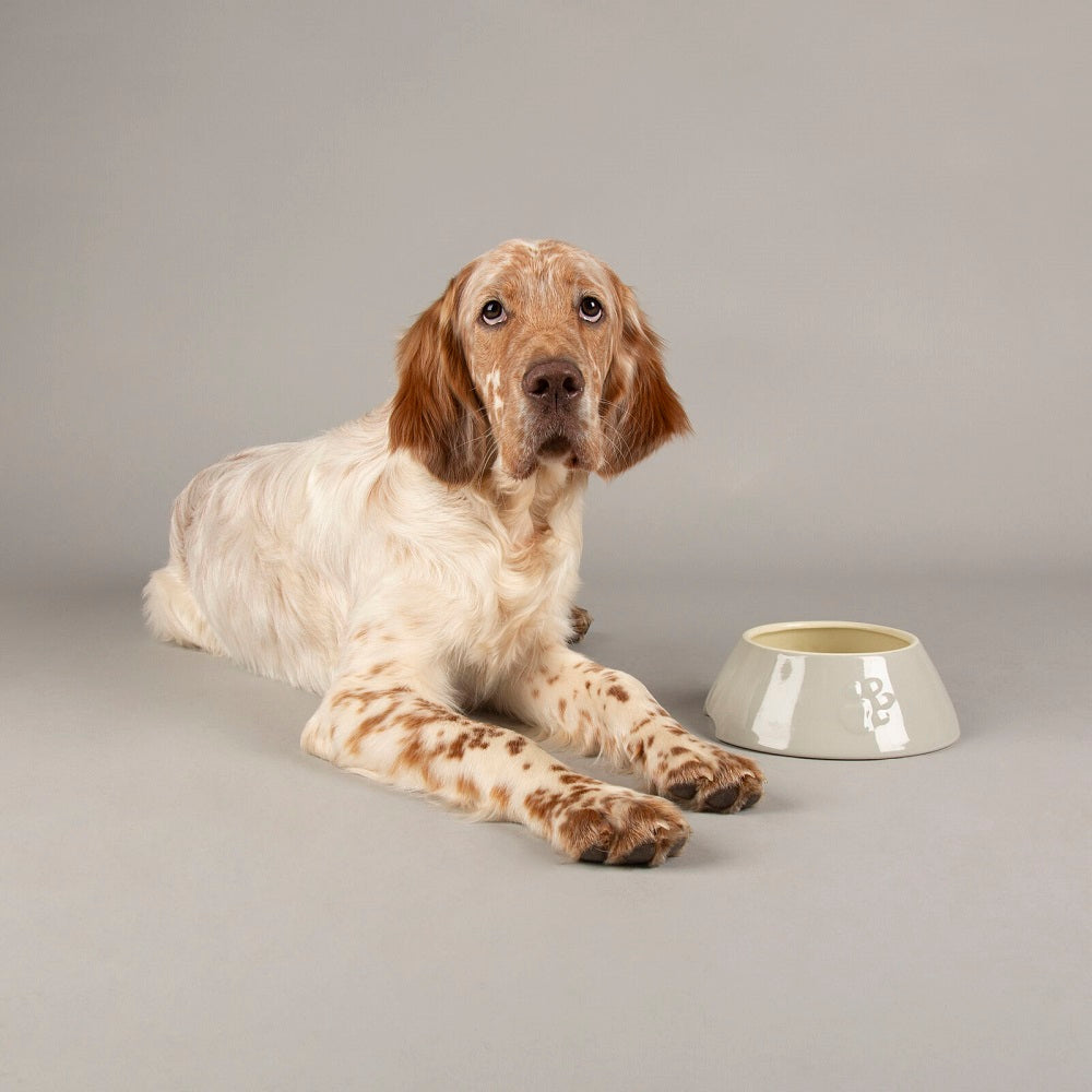 Scruffs Long Eared Icon Dog Food Bowl