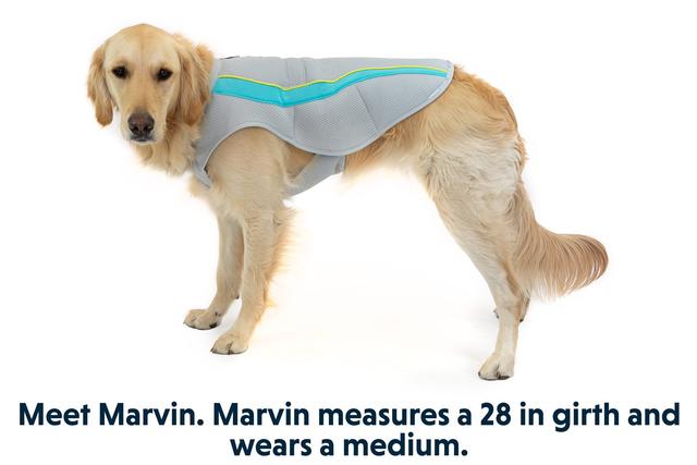 RUFFWEAR swamp cooler vest for dogs