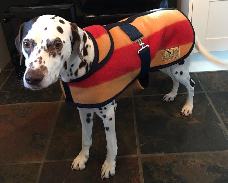Witney Small Dog Rug Coat - DOGHOUSE