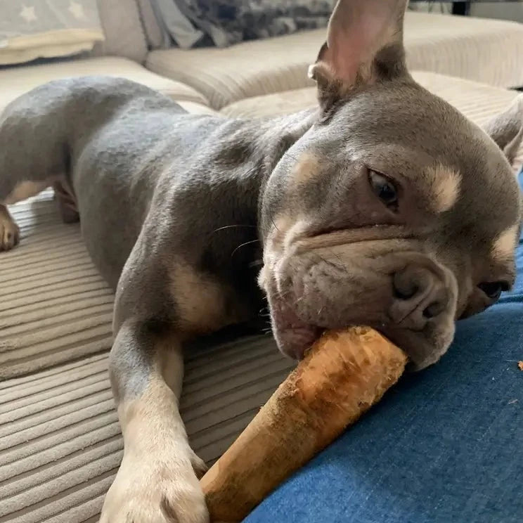 Olive wood dog shop chew