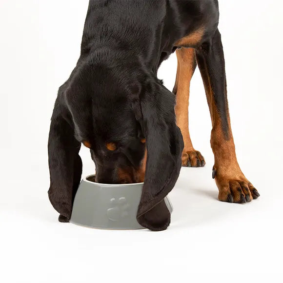 Scruffs Long Eared Icon Dog Food Bowl