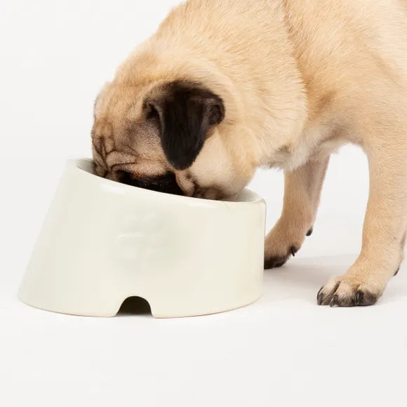 Scruffs Classic Flat Faced Dog Bowl
