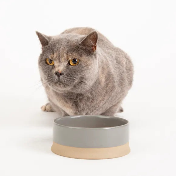 Non tip shop cat water bowl