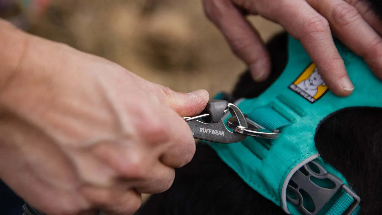 Ruffwear hundegeschirr sales front range harness