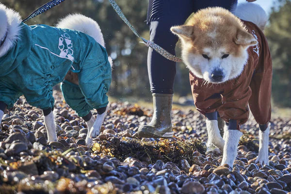 Hurtta waterproof sales dog coats