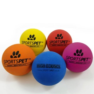SportsPet Tough Bounce Rubber Ball - Doghouse