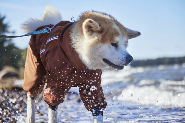 NEW Hurtta Mudventure Eco Overall Dog Coat