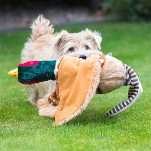 House of Paws Country Pheasant Dog Toy - Doghouse