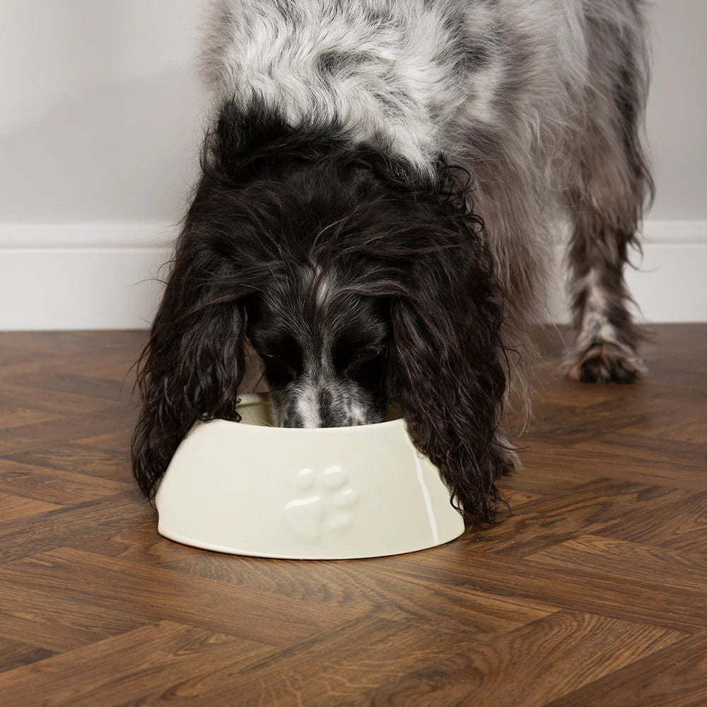 Dog bowls for long eared shop dogs