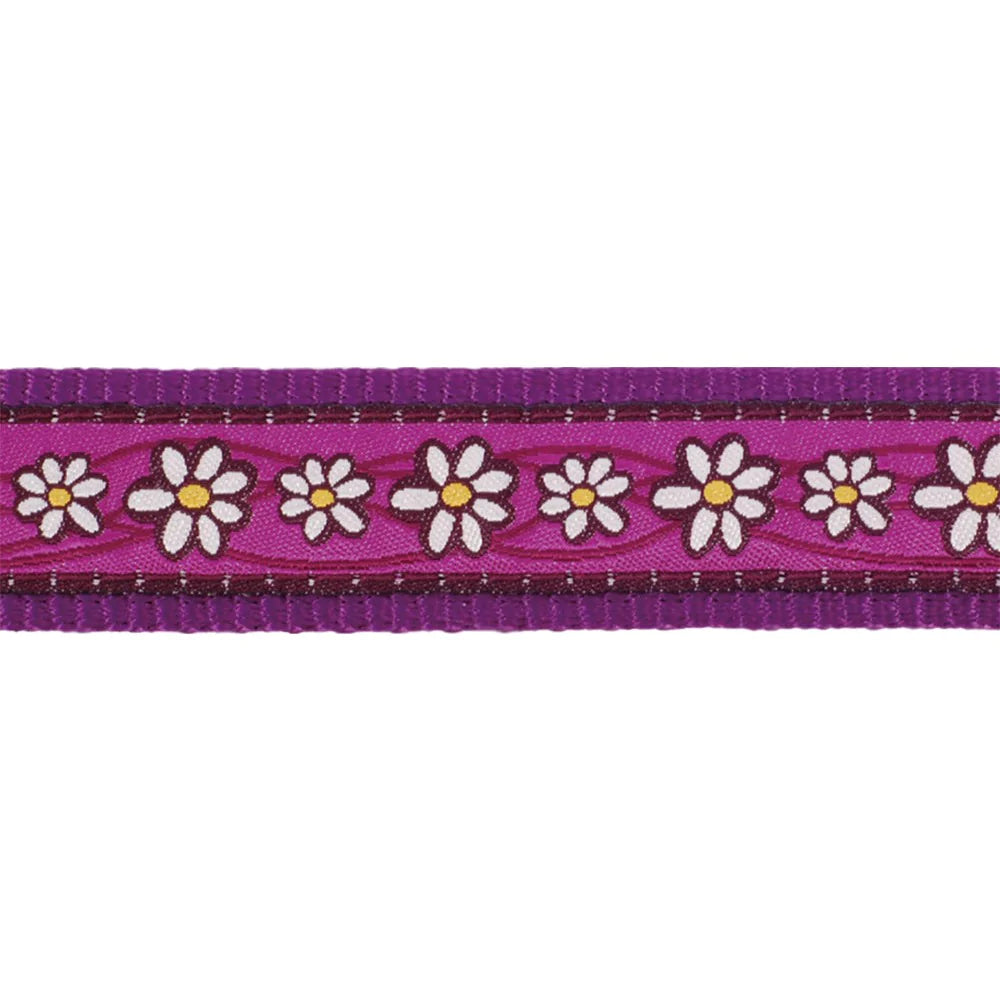 Purple Daisy Dog Collar by Red Dingo - DOGHOUSE