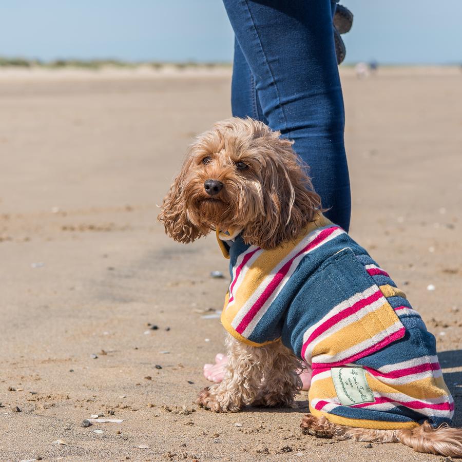 The Ultimate Dog Drying Coat - Beach Stripe - Doghouse