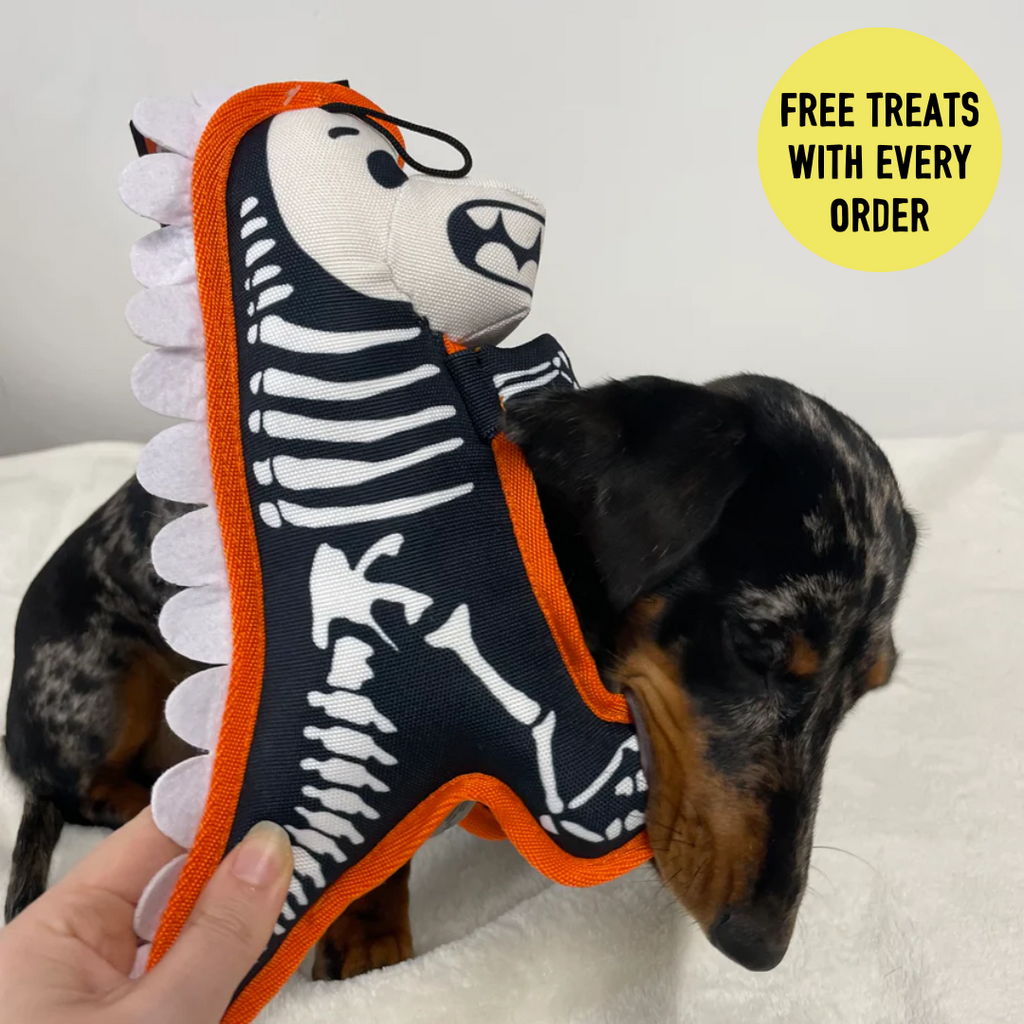 Halloween Tough T-Rex Skeleton Dog Toy