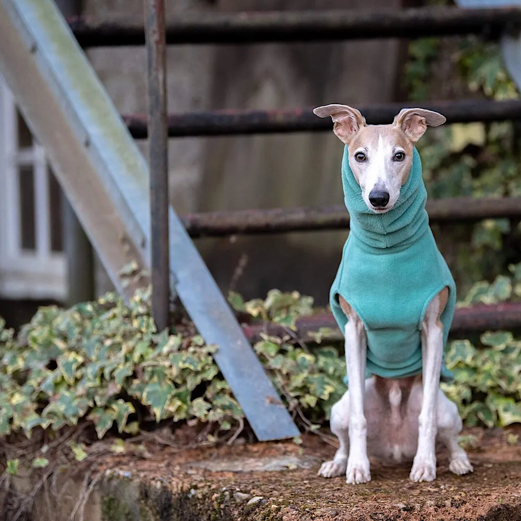 Whippet Fleece Jumper - Redhound for dogs