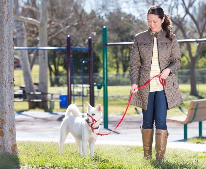COA Halti Training Dog Lead – DOGHOUSE