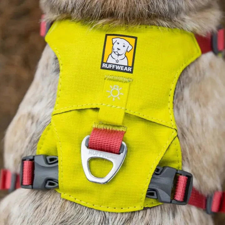 Lightweight harness for sales dogs