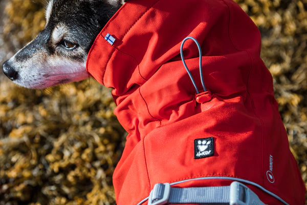 Houndtex dog best sale jacket