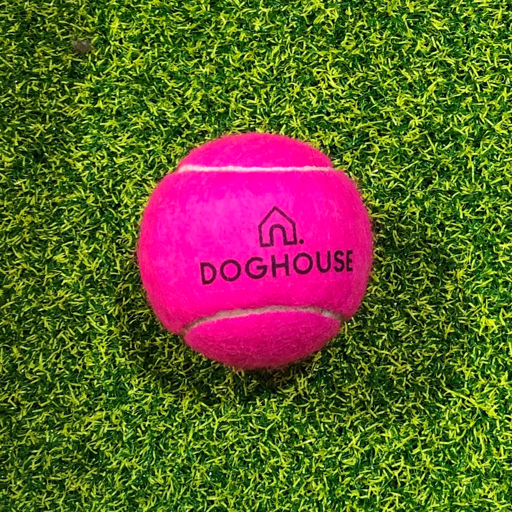 Doghouse Tennis Ball - Doghouse