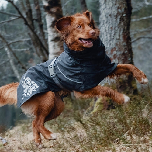 Hurtta Monsoon Waterproof Dog Coat