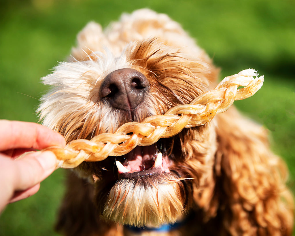 braided ostrich dog chews