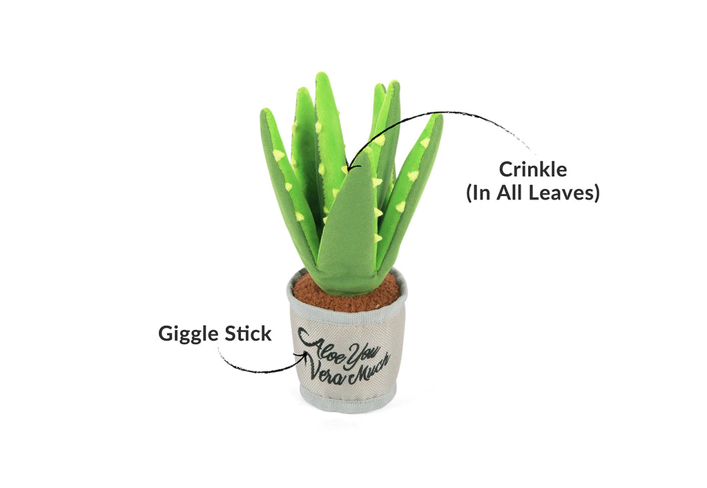 P.L.A.Y. Pet Blooming Buddies - Aloe-ve You Plant