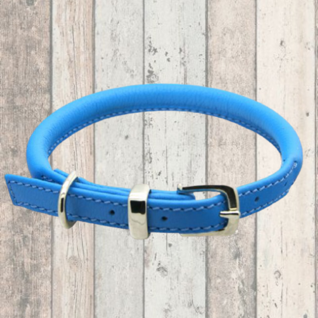 blue rolled leather collar dogs and horses uk