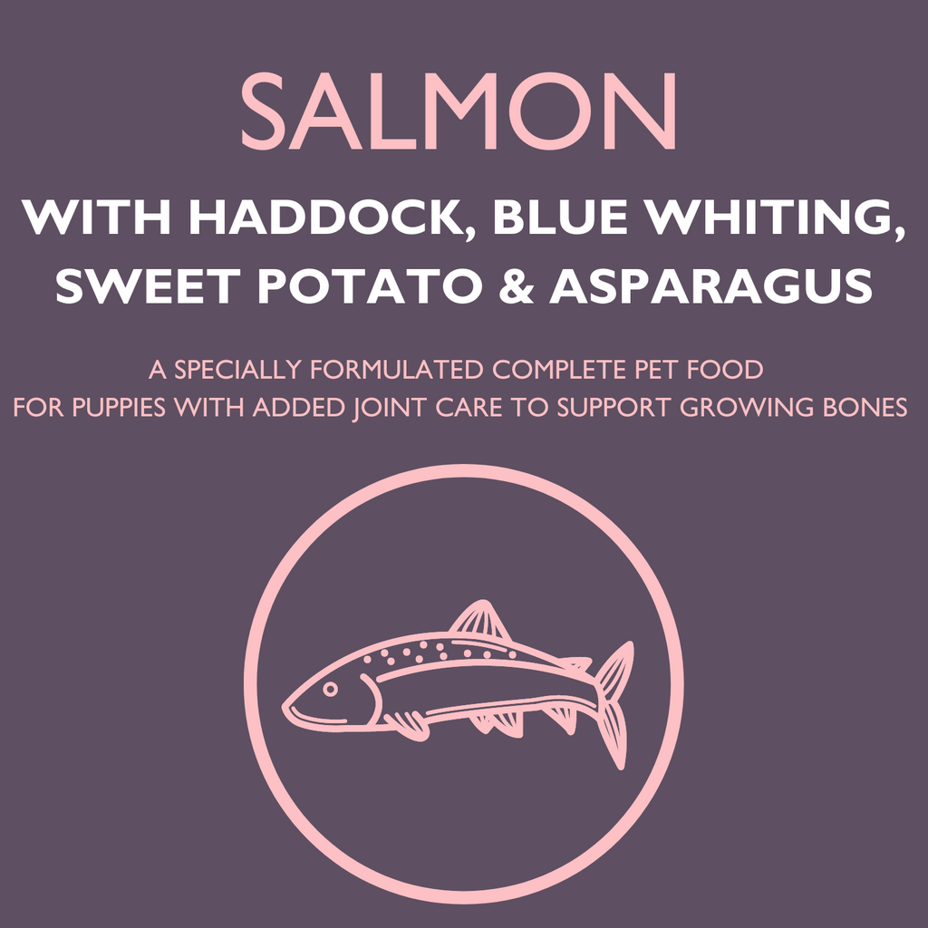 DOGFOOD Grain Free Salmon for Puppies