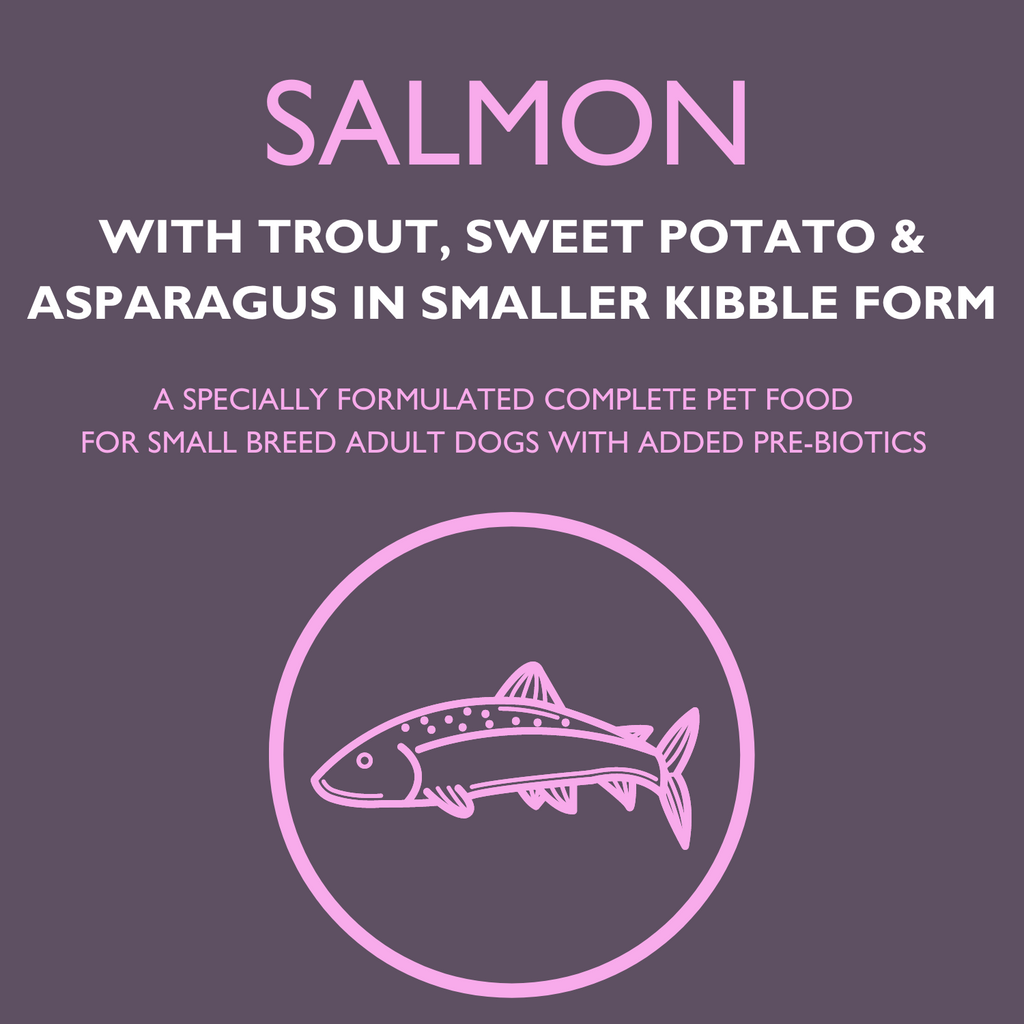 DOGFOOD Grain Free Salmon for Small Breed Adult Dogs