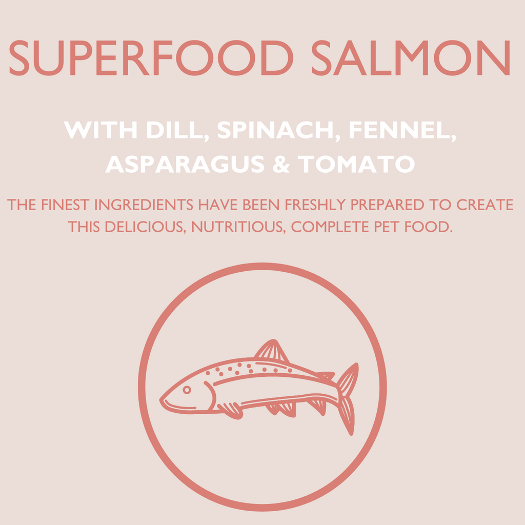 DOGFOOD Superfood Scottish Salmon for Adult Dogs