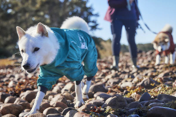 Hurtta dog coat 2024 australia