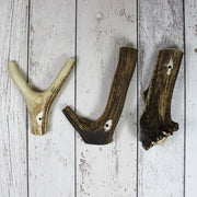 Antler Chews for Dogs - Doghouse