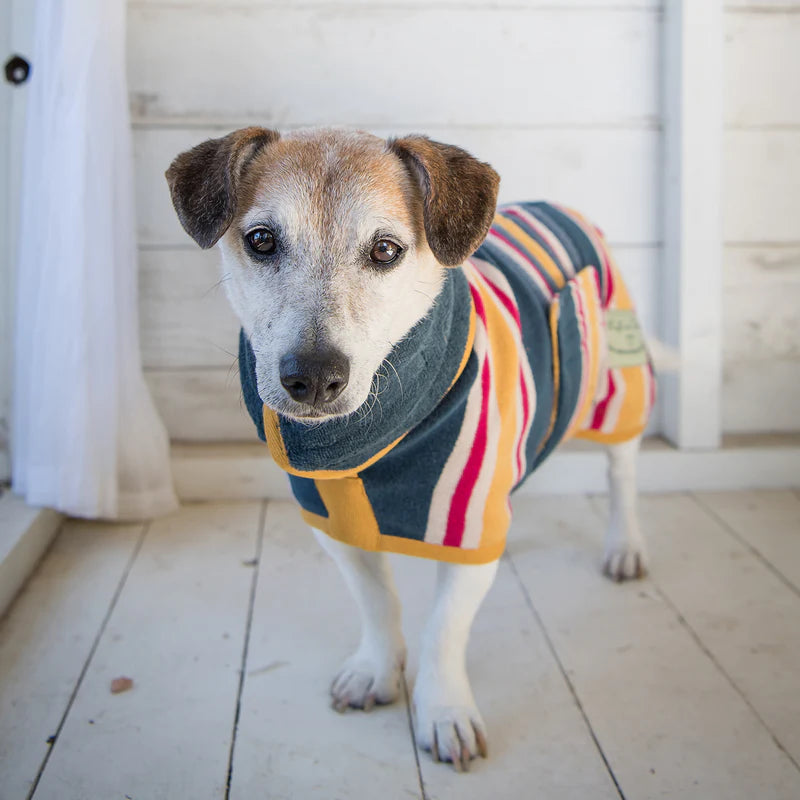 Ruff and Tumble Dog Drying Coat - Beach Stripe