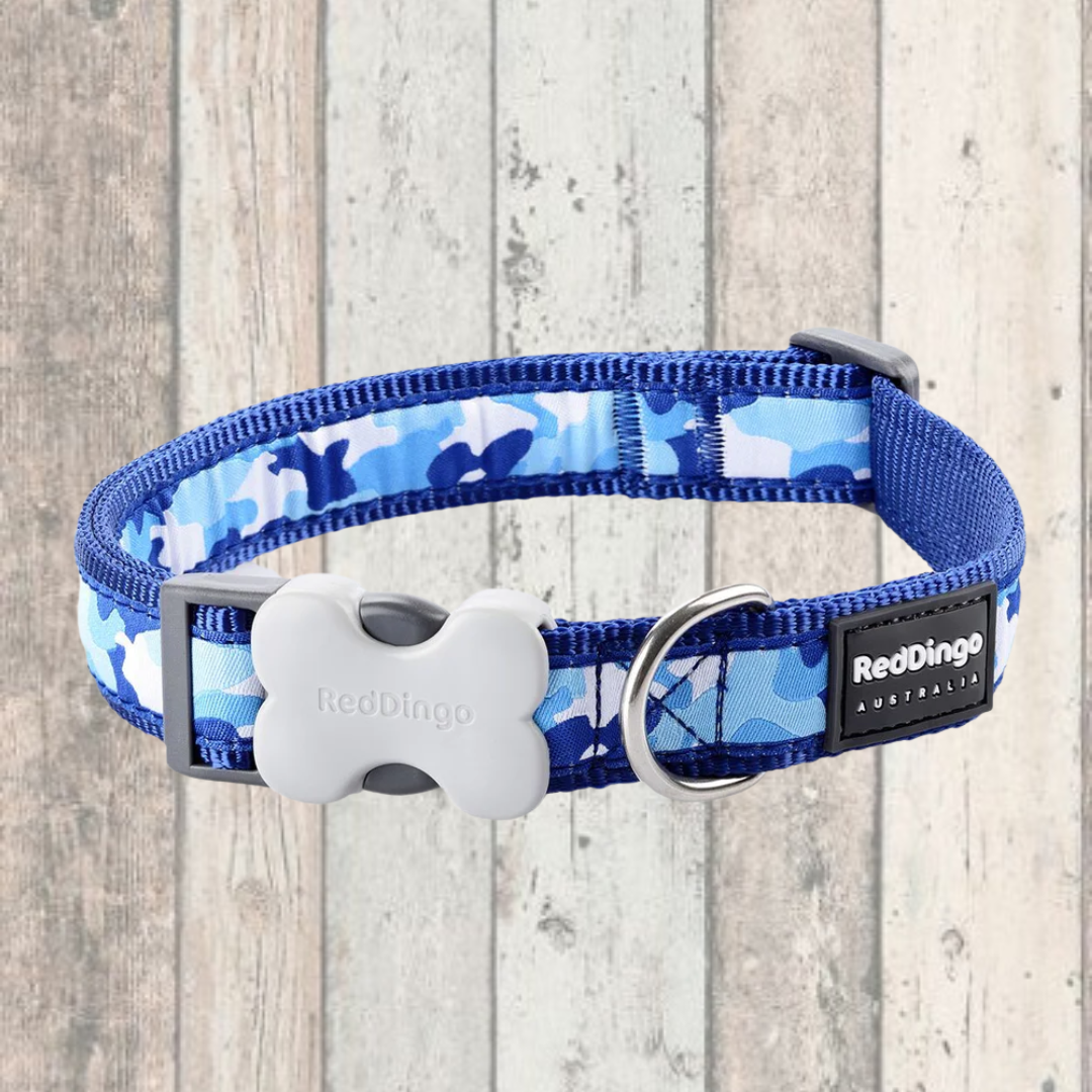 Red Dingo Blue Camo Print Dog Collar Doghouse DOGHOUSE
